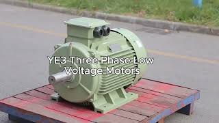 YE3 asynchronous low voltage AC Motoracmotor electricmotor asynchronous 3phaseinductionmotor [upl. by Ynnattirb997]