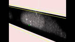 DNA Replication OrthoSlice  Chromobody [upl. by Haines979]