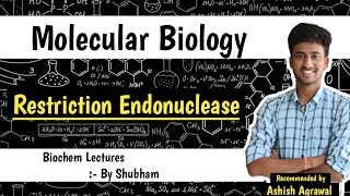 Restriction Endonucleases  Molecular Biology  Biochemistry Lecture [upl. by Noslen361]