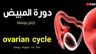 أسهل شرح لفهم الدورة الشهرية في المبايض ❤️🩸👌 Ovarian cycle ❤️ [upl. by Nanni781]