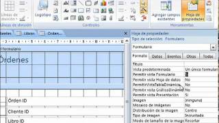 LECCION 8  Como Crear Controles en los Formularios Access 2007 [upl. by Blakely255]