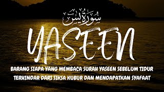 🔴DOA PENGANTAR TIDUR SURAT YASEEN PENYEJUK HATI SURAH YASEEN FULL TERHINDAR DARI SIKSA KUBUR [upl. by Anialeh]