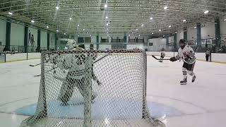 Wildcats Vs Gatineau Home Net Cam [upl. by Lectra487]