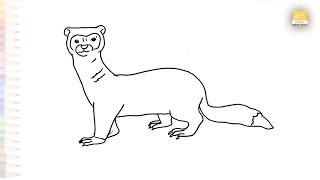 Black footed ferret drawing easy  Art tutorial  How to draw A Weasel step by step  artjanag [upl. by Weibel]