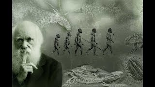 DARWIN Y EL ORIGEN DE LAS ESPECIES [upl. by Mccoy]