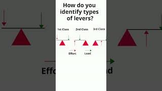 Identify types of Levers shorts [upl. by Way]