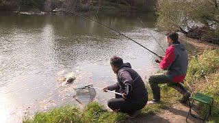 Pecanje šarana i babuške na reci Tamiš  Stari Tamiš  Dubinsko pecanje  Fishing carp in river [upl. by Xel199]