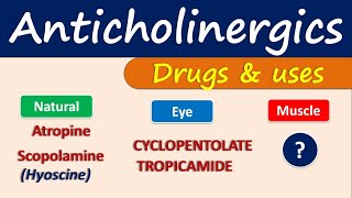 Anticholinergics  Drugs and uses [upl. by Drandell]