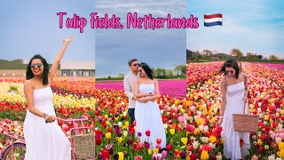 Ultimate guide to explore Tulip Fields near Amsterdam  Netherlands trip [upl. by Cally929]