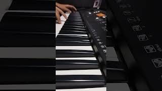 BelagedduKirik Party Keyboard full cover [upl. by Connell200]