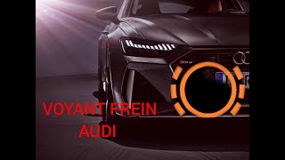 VOYANT FREIN AUDI [upl. by Vonni]