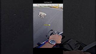 Dog Attack On Super Bike Rider exaust Sound 😂 bmws1000rr exaustsound dog dogattack shorts bike [upl. by Swayder]