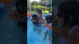 Papà Mike e Aurora fanno il primo bagno in piscina al nostro cagnolino Billy🐶 shorts mikeaurybau [upl. by Nicholson]