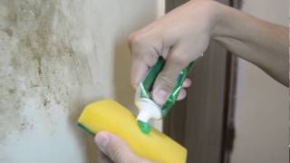 How to Clean Walls Ceilings amp Baseboards Spring Cleaning 2022 [upl. by Robin]