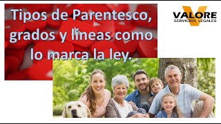 Que es el parentesco familiar líneas y grados y que es parentesco civil [upl. by Jania]