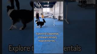 Hoopers Agility Workshop [upl. by Matthiew]