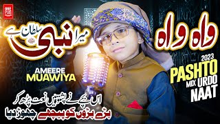 New latest Pashto Naat 2023  Wah Wah Sumra Khaista Nabi Sultan Dy  By Ameer Muawiya امیر معاویہ [upl. by Nylaras528]