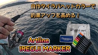 【自作・タイラバヘッドカラー】和歌山育信丸さんで実戦 IREGUI MARKERで釣果アップを狙う！ [upl. by Anehsak]