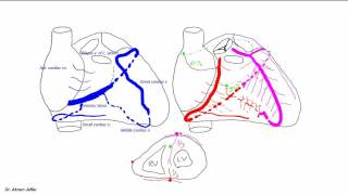 Blood supply of the heart [upl. by Koran]