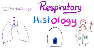 Respiratory Histology  Pharynx Larynx Trachea Bronchi Bronchioles Alveoli [upl. by Arhez521]