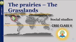 The prairies  The Grasslands  Class 4  What is known as the prairies Where are the grasslands [upl. by Ener]