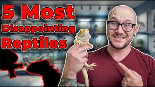 5 Most Disappointing Reptiles [upl. by Chambers]