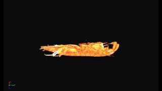 MicroCT Scan of a Beach Hopper Platorchestia platensis [upl. by Kirchner390]