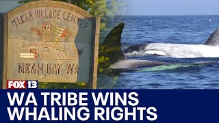 Makah Tribe wins whaling rights waiver  FOX 13 Seattle [upl. by Toby]