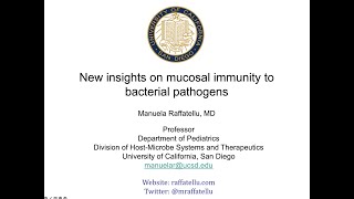 New insights on mucosal immunity to mucosal pathogens [upl. by Dorr]