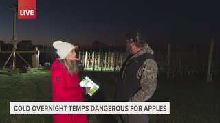 Cold overnight temps are dangerous for crops in West Michigan [upl. by Mcclelland320]