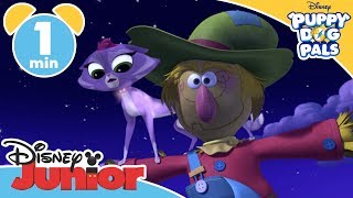 Puppy Dog Pals  Episode  A Haunted Halloween 🎃  Disney Kids [upl. by Pandora]