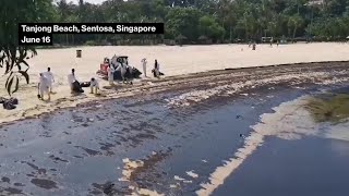 Singapore’s Sentosa Island Beaches Impacted By Oil Spill [upl. by Zigrang33]