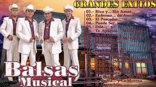 Grupo Balsas Musical Exitos  Puros Corridos Grandes Exitos Mix 2021 [upl. by Dranoel]