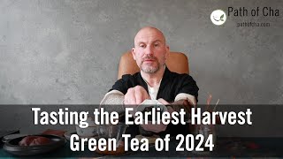 Tasting the Earliest Harvest Green Tea of 2024 [upl. by Ecadnak663]