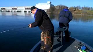 St Lawrence River Walleye  2011 [upl. by Friday]