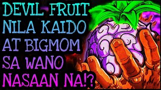 DEVIL FRUITS SA WANO KUKUNIN NI BLACKBEARD  One Piece Tagalog Analysis [upl. by Mariel801]