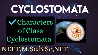 1General organization Specialized Generalized and degenerated charecters of cyclostomes [upl. by Yila766]