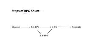 Everything you need to know about Carbohydrate metabolism [upl. by Tenn]