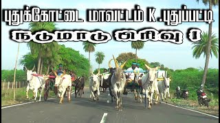 புதுக்கோட்டை மாவட்டம் புதுப்பட்டி நடுமாடு பந்தயம் 22092024 [upl. by Ilac]