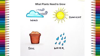 What Plants need to grow drawing  4 Things plants need to grow drawing easy [upl. by Ambrosine]