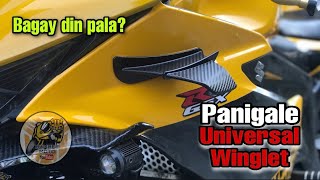 Panigale Universal Winglet for my Suzuki GSX R150 [upl. by Bliss]