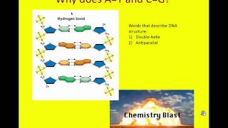 BIOL 230  Module 11  Video 2 of 4 [upl. by Jereld]