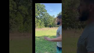 Growing wheat amp clover for bread amp deer foodplots garden wheat [upl. by Fraze]