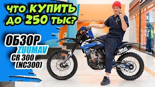 Что купить до 250 тыс Обзор ZUUMAV CR 300 [upl. by Tabber]