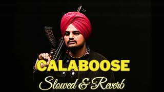 Calaboose Slowed  Reverb Sidhu Moose Wala [upl. by Ecirad]