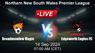 🔴 LIVE Broadmeadow Magic vs Edgeworth Eagles FC  Animated Live Football Stream [upl. by Maclay670]