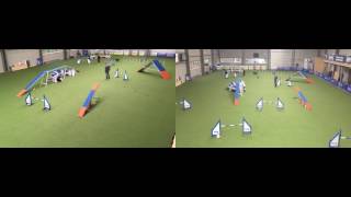 iMCA Agility [upl. by Aneez]