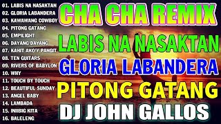 🇵🇭NEW 🎀Nonstop Cha Cha Disco Remix 2024  Bagong Nonstop Cha Cha Remix 2024💥WARAY WARAY CHA CHA 🎁 [upl. by Dorraj815]