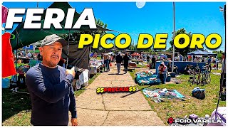 Feria PICO DE ORO venden de todo  I Fcio Varela Bs As Argentina [upl. by Pride561]