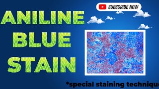 Aniline Blue Stain [upl. by Adiuqal]